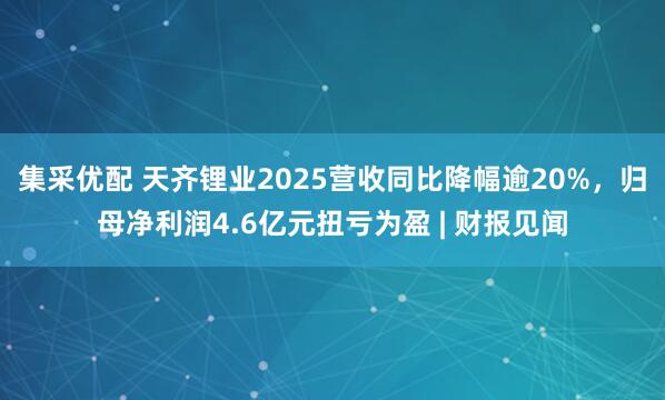 集采优配 天齐锂业2025营收同比降幅逾20%,归母净利润4.6亿元扭亏为盈 | 财报见闻